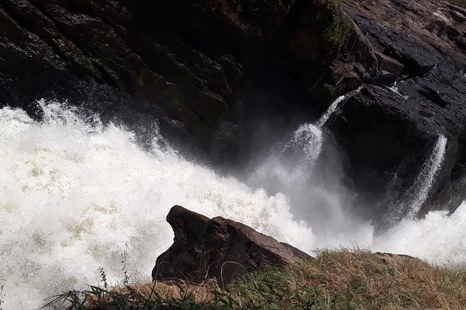 3 Day Private safari to Murchison Falls National Park with Big Five Experience - Key points to know before booking