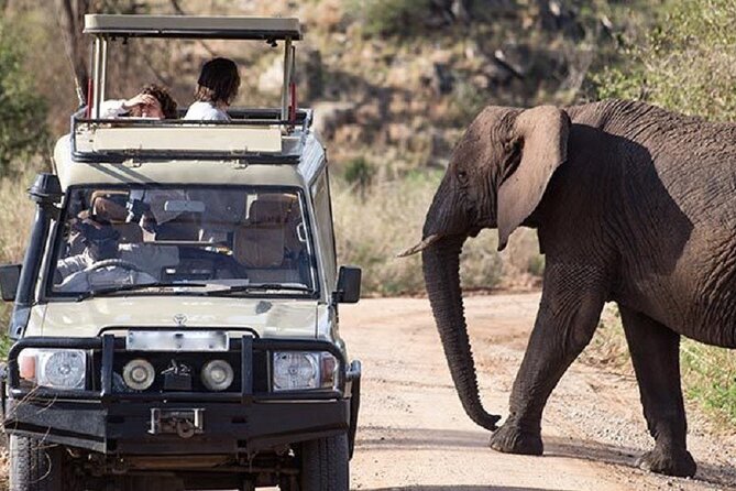 3-Day Safari in Queen Elizabeth National Park Uganda from Kampala - Practical advice for getting more from the three days