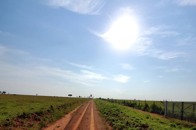 3 Days 2 Nights, Murchison Falls And Wildlife Safari - Practical details before you reserve