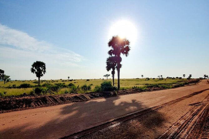 3 Days 2 Nights, Murchison Falls And Wildlife Safari - Should you book the three-day safari?