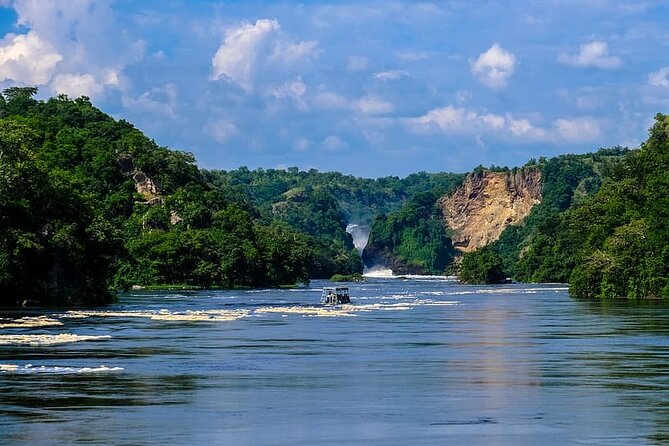 3 Days 2 Nights, Murchison Falls And Wildlife Safari - Day two: giraffes, lions, birds, and the falls