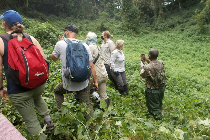 3 Days Bwindi Gorilla Trekking tour - What the $1,850 price really buys