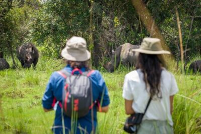 3 Days gorilla trekking Safari tour in Uganda