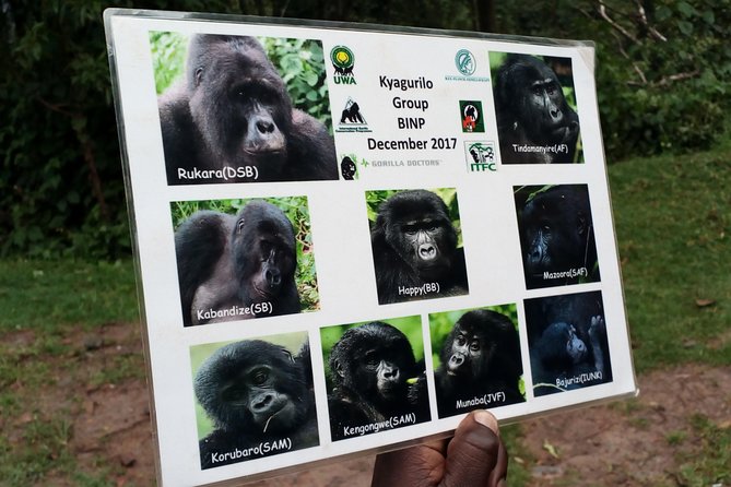 3 Days Gorilla trekking Safari Uganda, Bwindi Impenetrable Forest - Day 1: The long road from Kampala to the forest