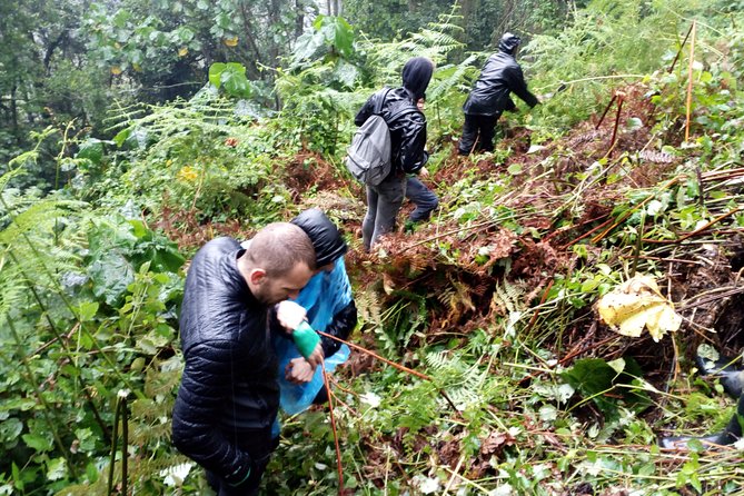 3 Days Gorilla trekking Safari Uganda, Bwindi Impenetrable Forest - Gorilla Valley Lodge and the value of staying near Bwindi