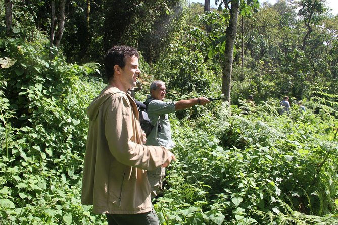 3 Days Gorilla trekking tour - Why Bwindi makes this trip special