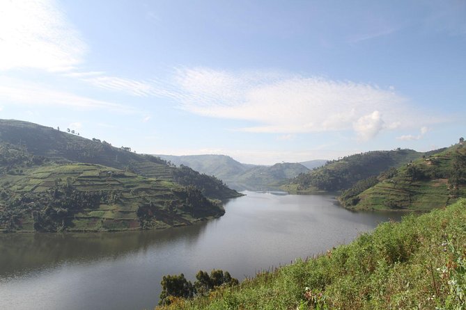 3 Days Gorilla trekking tour - Day two: the gorilla trek