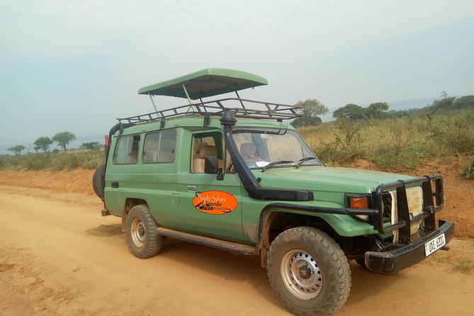 3 Days Lake Bunyonyi and Gorilla Trekking Tour in Uganda - Day 3: The long road back to Kampala or Entebbe