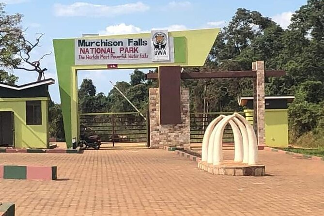 3 Days magical Murchison falls safari - Day 3: One final game drive and the falls from above