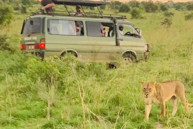 3 Days magical Murchison falls safari - Who will enjoy this Murchison Falls trip most