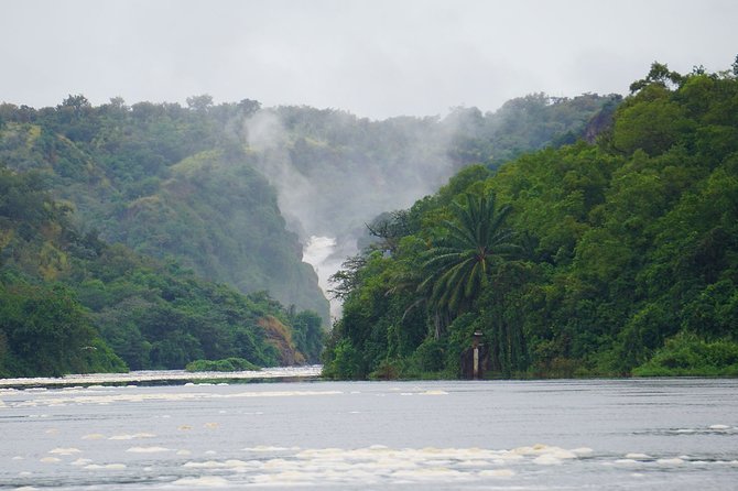3 Days Murchison Falls Adventure Wildlife Safari Uganda Tour - Key things to know before booking