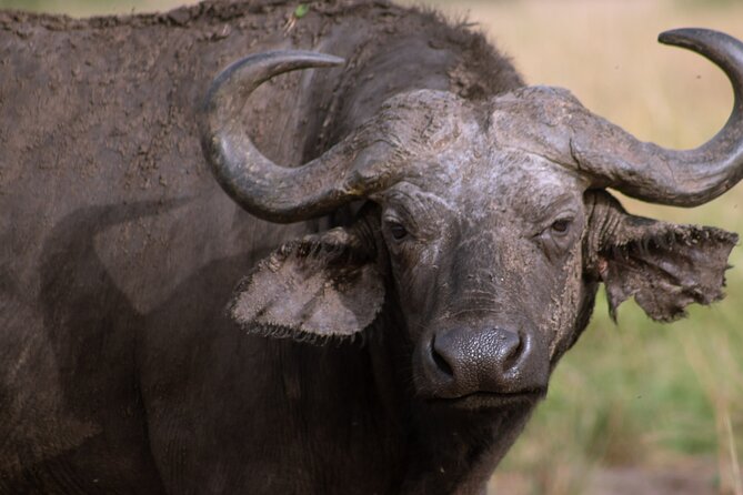 3 Days Murchison Falls Adventure Wildlife Safari Uganda Tour - Who will enjoy this safari most