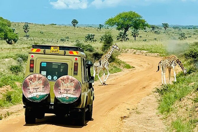 3 days Murchison Falls, Boat cruise and wildlife game viewing - What this three-day Murchison Falls safari is really like