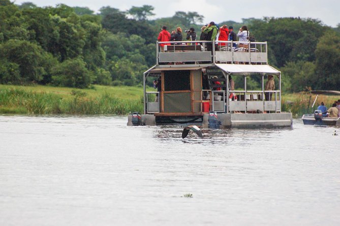 3 days Murchison Falls, Boat cruise and wildlife game viewing - Is $1,159 a fair price?