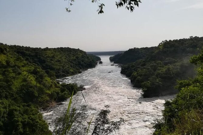 3 Days Murchison Falls National Park Safari & Rhino tracking - Reaching the top of Murchison Falls