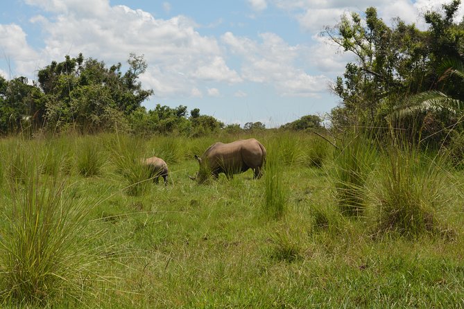 3-Days Murchison Falls Vacation Including Big 5 Sighting! - Day 3: The falls viewpoint and return to Entebbe