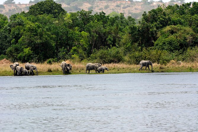 3 Days Murchison Falls Wildlife Safari - The early game drive through the savannah