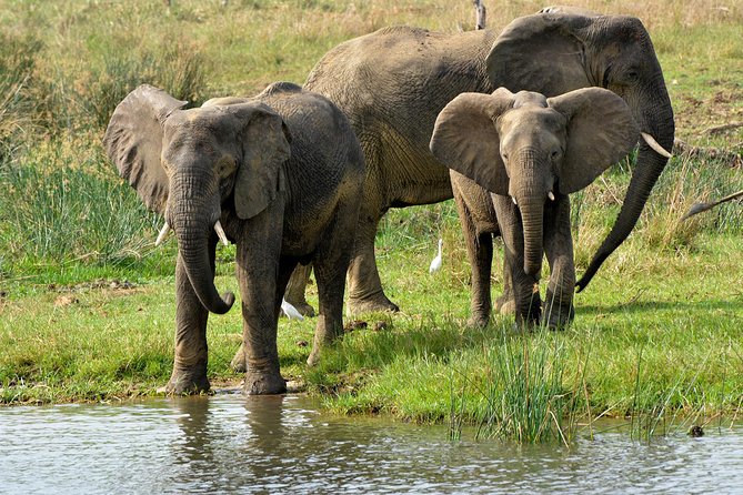 3 Days Murchison Falls Wildlife Safari - Standing above Murchison Falls