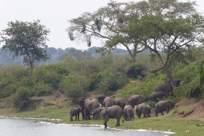 3 days Queen Elizabeth National Park Uganda Safari - Day 2: another look at the channel
