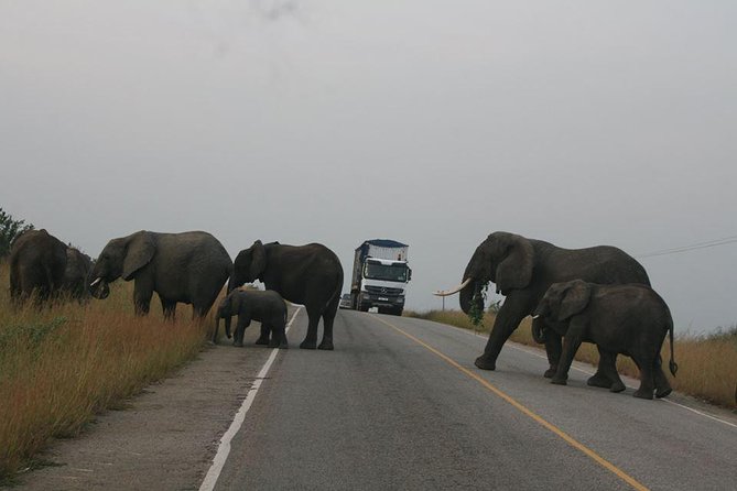 3 days Queen Elizabeth National Park Uganda Safari - Game drives and the search for lions