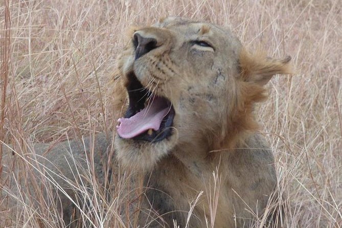 3 days Queen Elizabeth National Park Uganda Safari - The parts that need a closer look
