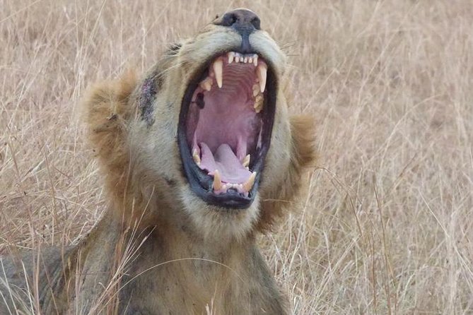 3 days Queen Elizabeth National Park Uganda Safari - Day 1: the equator and the Kazinga Channel