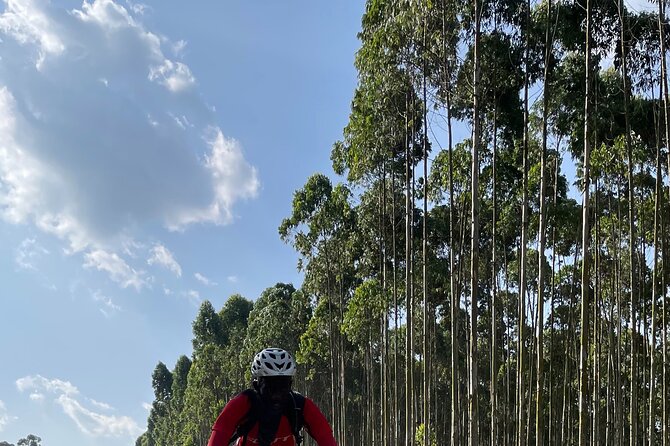 3 Hours Guided Cycling Tour Across Lake Victoria - Birds and the wider Lake Victoria setting