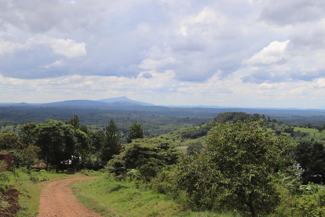 4-Day Gorillas, Wildlife and Chimpanzee Trek at Kalinzu Forest - Small groups and the human side of the trip