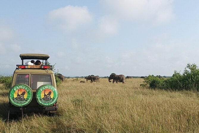 4-Day QENP, Gorillas in Bwindi and Lake Bunyonyi relaxation - Wildlife expectations: strong variety, no guarantees