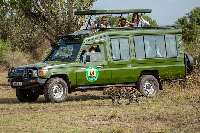 4-Day QENP, Gorillas in Bwindi and Lake Bunyonyi relaxation - Value at $4,770 per person