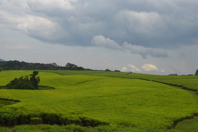 4 Days Gorilla tracking Tour in Uganda - Day 4: Kyabahinga Hill before returning to Kigali