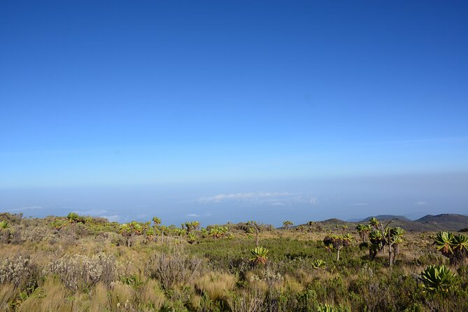 4 Days mount Elgon Trek, 4321m a.s.l - Why Mount Elgon is different from other high peaks
