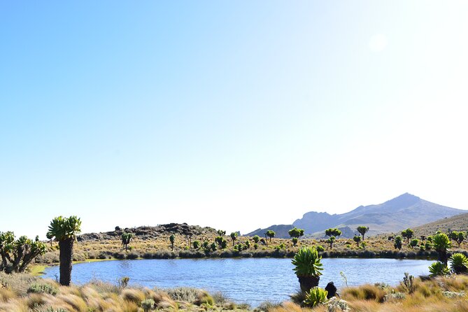4 Days mount Elgon Trek, 4321m a.s.l - Day four: Crossing the crater and Hunter’s Cave Camp