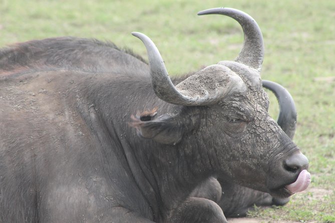 5-Day Big 5 Kidepo valley National Park Safari - Why Kidepo is worth the long road north