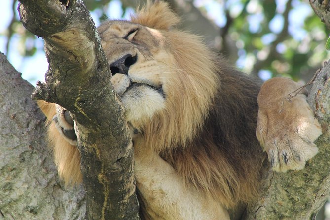 5-Day Big 5 Kidepo valley National Park Safari - Day one: rhinos, the Nile, and a night in Gulu