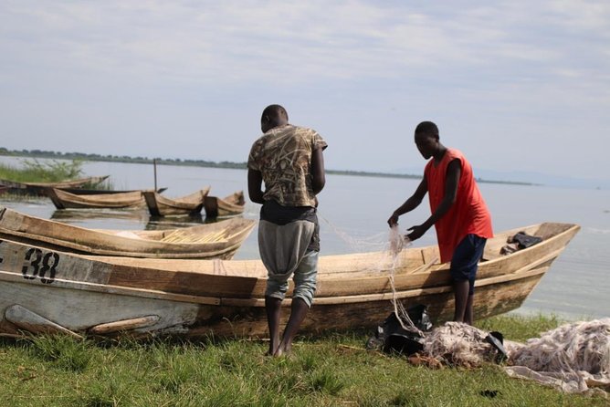 5 Day Gorillas, Wildlife and Kalinzu Forest Chimp Trek - Day 4: Kasenyi Plains and the Kazinga Channel