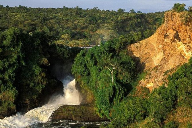 5-Day Murchison Falls, Budongo Chimps, Wildlife Big 5 Safari - Key points at a glance
