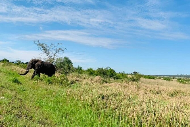 5 days best wildlife experience in Uganda - The long return to Kampala