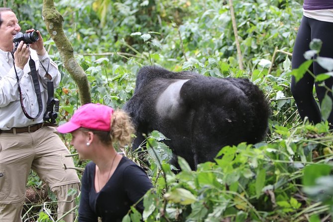 5 days gorilla & Wildlife safari in Uganda - Day 1: The long road from Kampala to Bwindi