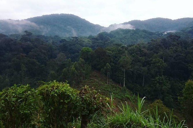 6 Day Gorilla tracking and Wildlife Safari - Day 2: The long road to Bwindi, with an equator stop