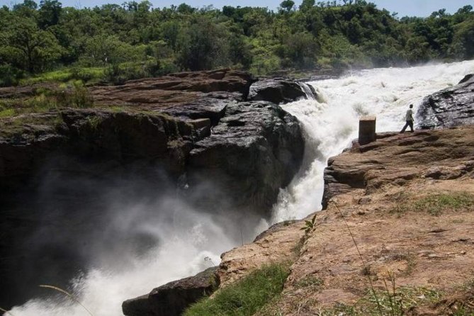6-Day Murchison Falls and Kidepo NP Wildlife Safari - Key points before you book
