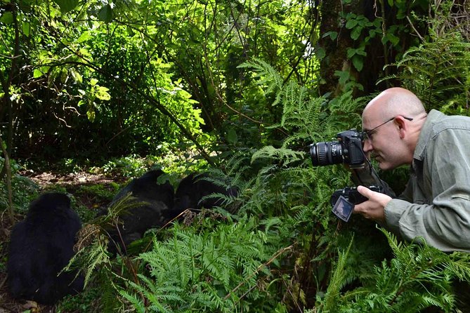 6 Days Chimps, Gorillas & Murchison Falls Africa's Big Five Experience Safari - Day 3: The long transfer toward Kibale Forest