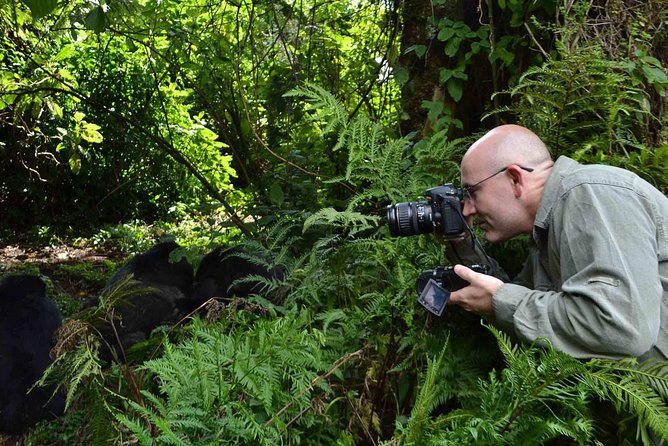 6 Days Chimps, Gorillas & Murchison Falls Africa's Big Five Experience Safari - Guides, food, and the human side of the trip