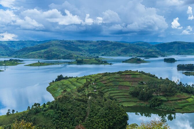6 Days Uganda Gorilla, Chimps Trekking and Wildlife Safari - What this Uganda safari is really offering