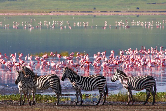 7-Day Private Uganda Gorilla Tracking Safari Tour From Entebbe - Day 1: A quiet start beside Lake Victoria