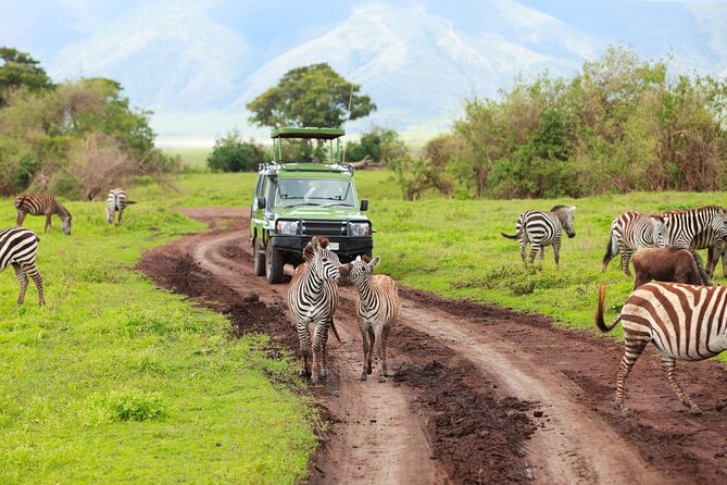 7-Day Private Uganda Gorilla Tracking Safari Tour From Entebbe - Day 7: A flexible return to Entebbe