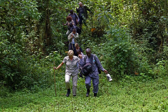 7 Days Flying Gorillas and Wildlife Safari Uganda Private Tour - Why this seven-day route works