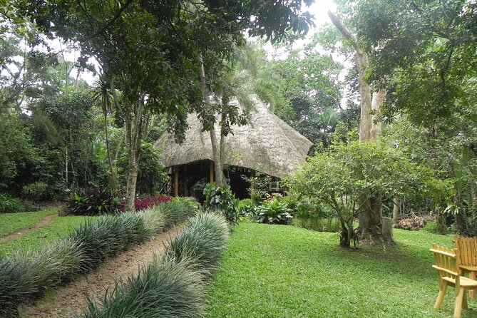 7 Days Flying Gorillas and Wildlife Safari Uganda Private Tour - Day 4: Two game drives in Queen Elizabeth National Park