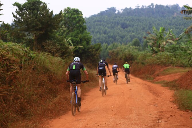 7 Hours Guided Cycling Tour to Sezibwa Waterfalls - The essential facts before you book