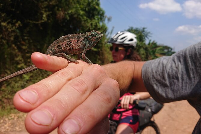 7 Hours Guided Cycling Tour to Sezibwa Waterfalls - Villages, farms, and the human side of the route
